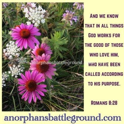 God’s Purpose Will Stand